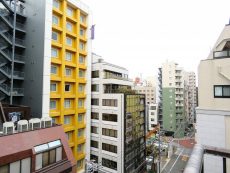 グランドメゾン新宿東　眺望