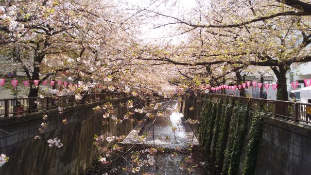 サードリハイツ本館 周辺 サードリハイツ本館 周辺