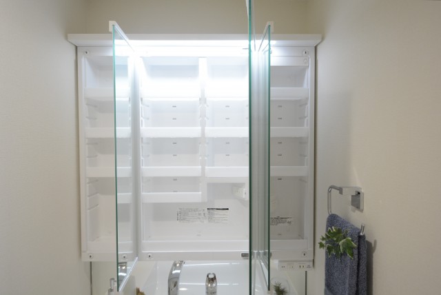 キャッスル共進 洗面室