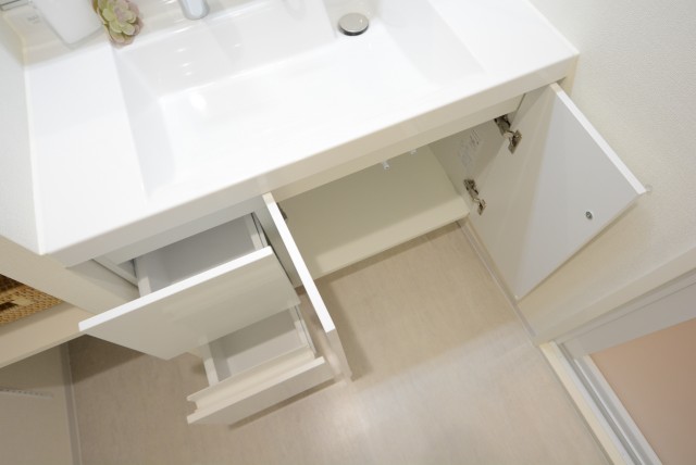 キャッスル共進 洗面室