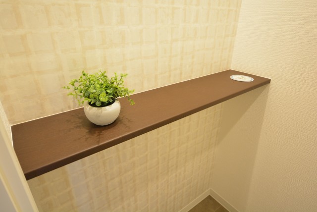 マンション雅叙苑 トイレ