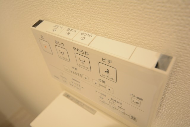 ライオンズマンション学芸大学 トイレ