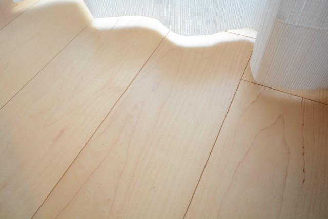 ライオンズマンション学芸大学 洋室2