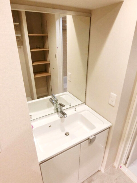 ライオンズマンション上野毛 洗面室