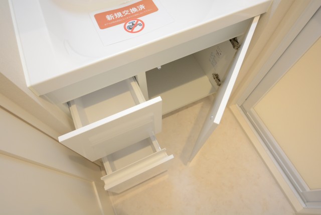 ライオンズマンション学芸大学 洗面室