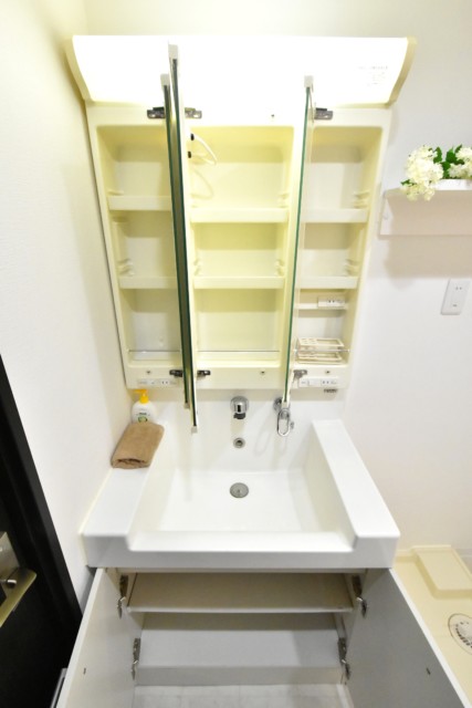 ディアライフ大塚 洗面室