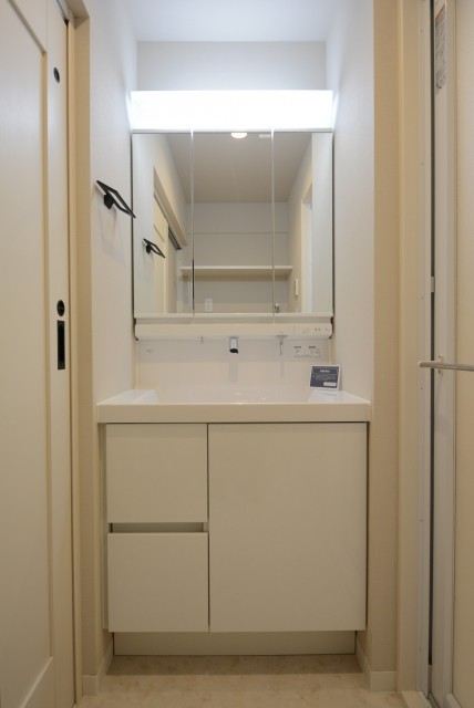 ライオンズマンション学芸大学 洗面室