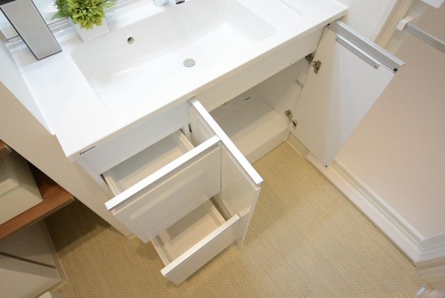 グランドメゾン新宿東 洗面