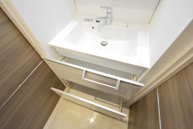 秀和奥沢レジデンス 洗面室
