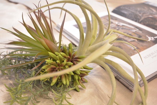 グランドメゾン新宿東 洋室