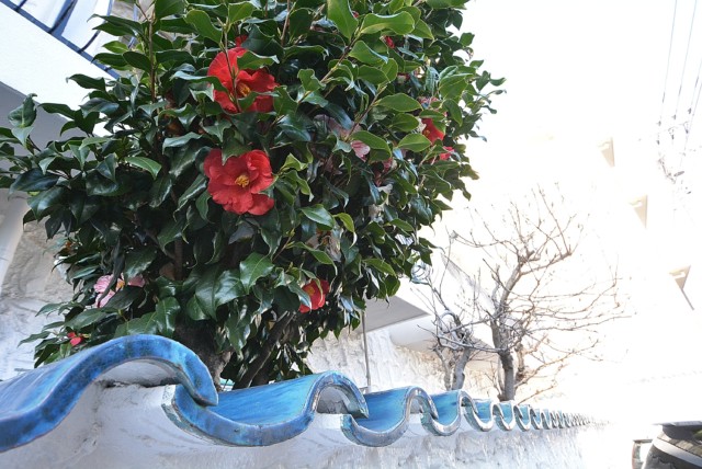 秀和奥沢レジデンス テラス