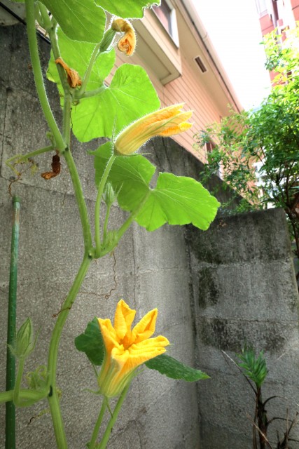 エクセル旗の台 共有スペース部分