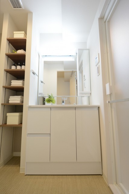 グランドメゾン新宿東 洗面