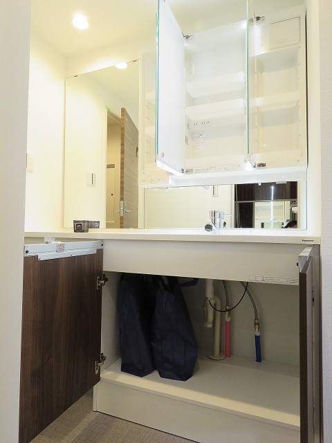 馬事公苑前ハイム　洗面化粧台