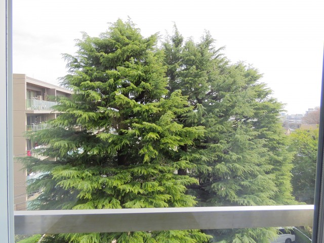 パシフィック馬事公苑前　窓の外