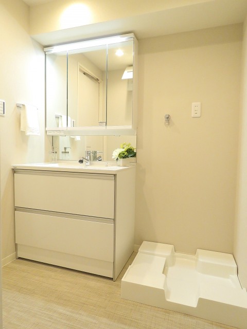 パシフィック馬事公苑前　洗面化粧台