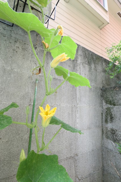 エクセル旗の台 共有スペース部分