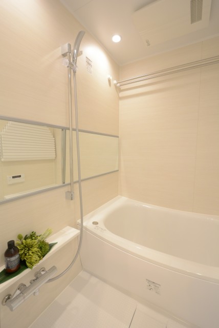 グランドメゾン新宿東 (57)浴室