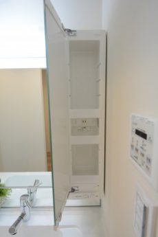 グランドメゾン新宿東 洗面