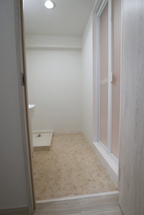 秀和南大井レジデンス 脱衣所・洗面台