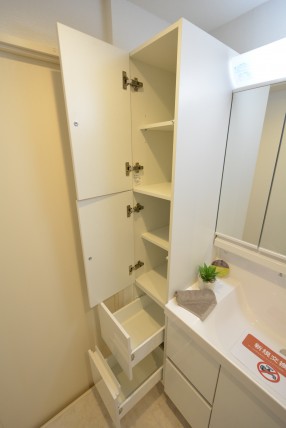 アイビハイツ南品川 洗面室