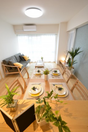 アイビハイツ南品川 LDK