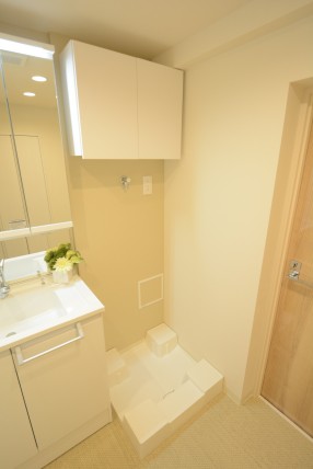 戸山ハイツ 洗面室