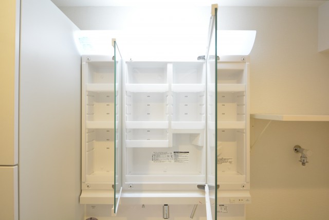 アイビハイツ南品川 洗面室