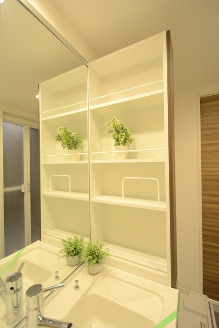 馬事公苑前ハイム2号棟 洗面室