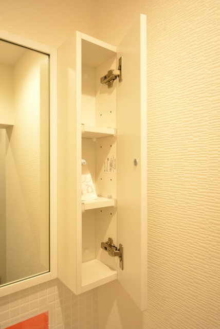 モナーク三軒茶屋 洗面室