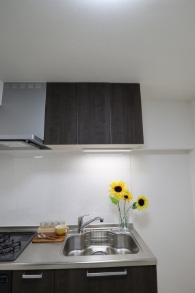 秀和南大井レジデンス キッチン