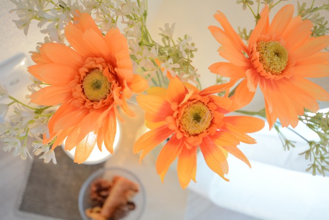 朝日プラザ東池袋 洋室南