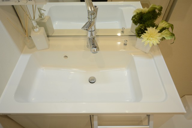 戸山ハイツ 洗面室