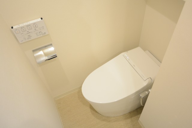 戸山ハイツ トイレ