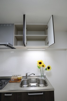 秀和南大井レジデンス キッチン