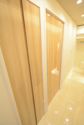 戸山ハイツ 廊下収納