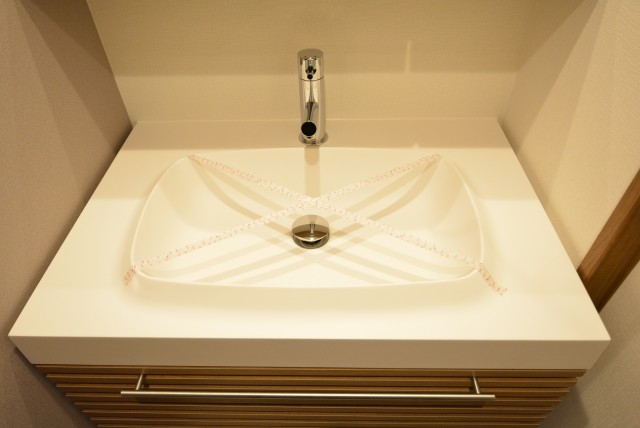 グリーンキャピタル広尾 洗面室