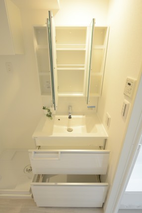 朝日プラザ東池袋 洗面室