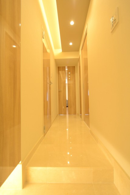 戸山ハイツ (8)玄関