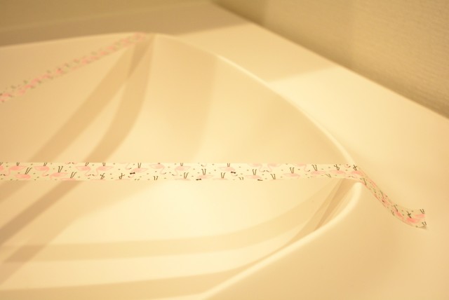 グリーンキャピタル広尾 洗面室