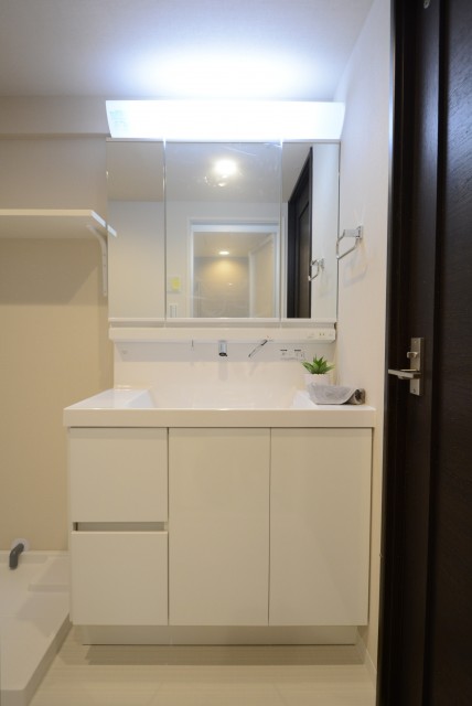 多摩川芙蓉ハイツ３号棟 洗面室