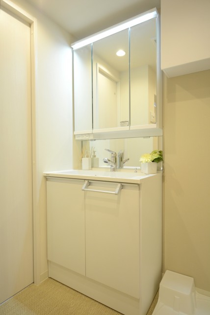 戸山ハイツ 洗面室