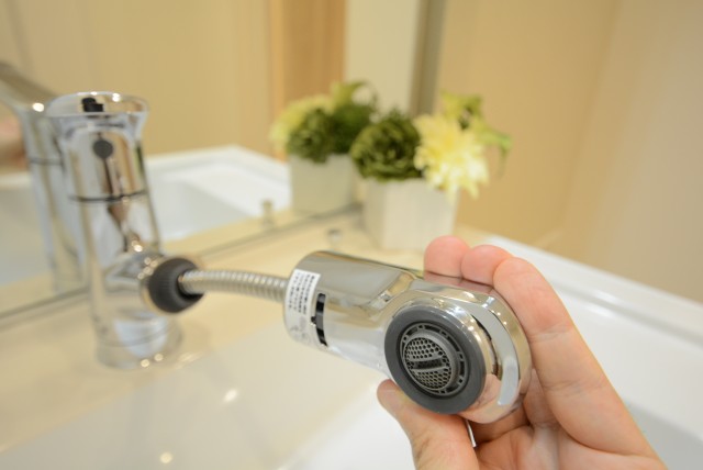 戸山ハイツ 洗面室