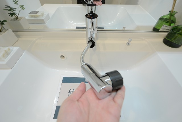 ライオンズマンション玉堤 洗面