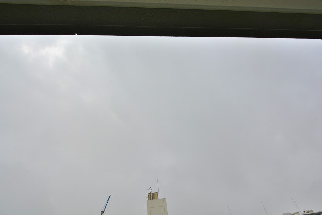 パシフィック馬事公苑1-9F (62)