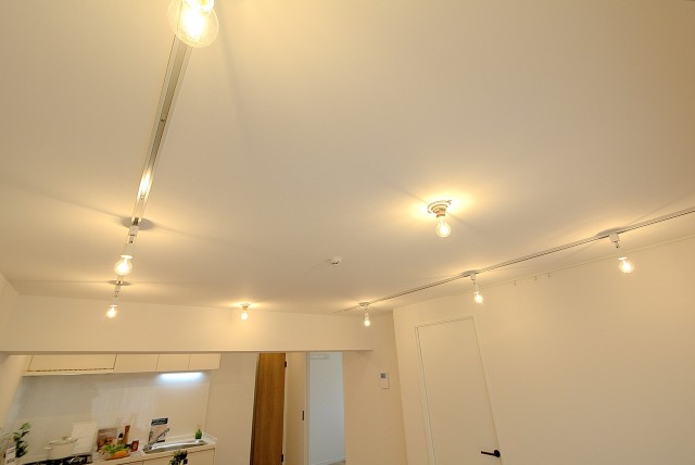 ライオンズマンション玉堤 LD