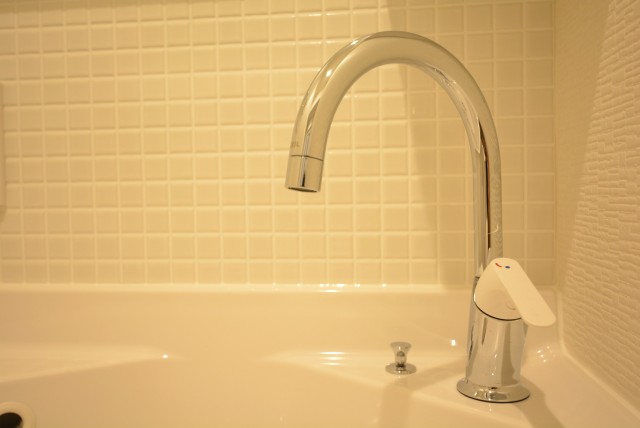 モナーク三軒茶屋 洗面室