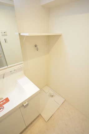 アイビハイツ南品川 洗面室