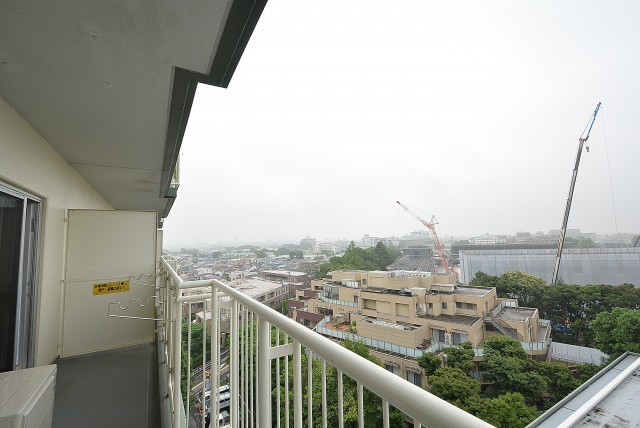 パシフィック馬事公苑1-9F (66)