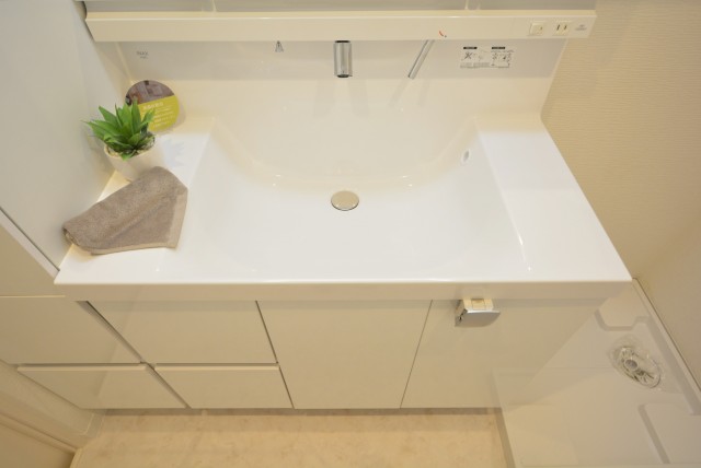 アイビハイツ南品川 洗面室